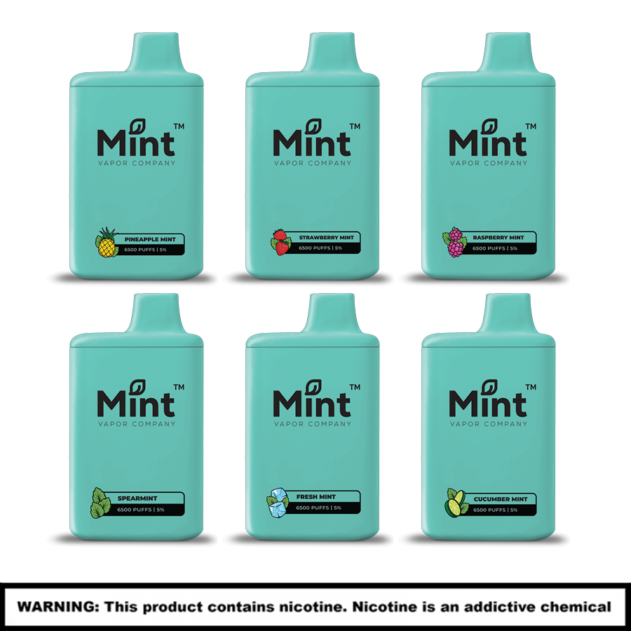 Mint Vapor Company Disposables | 5% Nicotine | 6500 Puffs | 5 Count Display product image